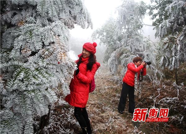 衡南縣岐山最新天氣預報更新通知