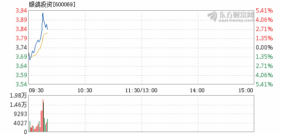 銀鴿投資最新深度解析