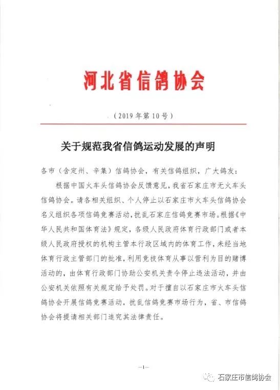 石家莊信鴿最新公告引領(lǐng)城市信鴿運動開啟新篇章