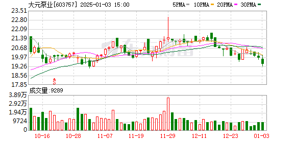 大元泵業(yè)上市最新動(dòng)態(tài)，邁向資本市場(chǎng)的嶄新篇章