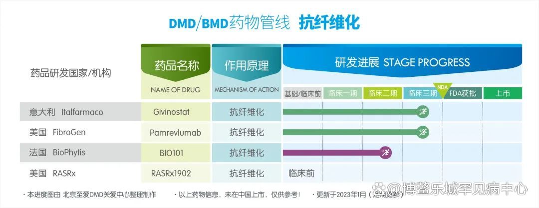 DMD最新藥物研究進(jìn)展揭秘，探索前沿研究成果與突破進(jìn)展