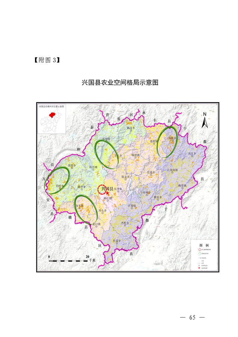 興國縣財(cái)政局未來發(fā)展規(guī)劃揭曉，塑造財(cái)政新藍(lán)圖