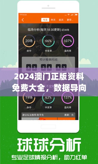 2024澳門正版精準免費大全｜決策資料解釋落實