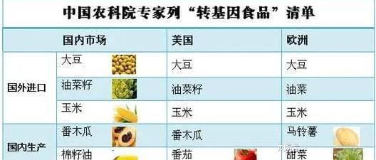 最新轉基因食品清單及其潛在影響概述