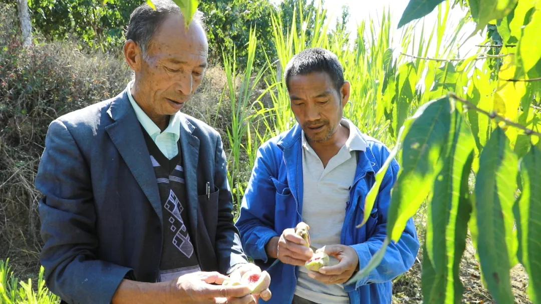 施甸最新規(guī)劃動態(tài)揭曉，塑造未來城市的宏偉藍圖