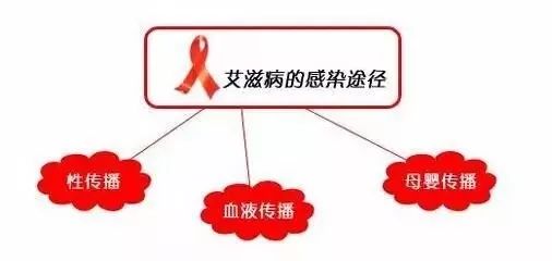 最新艾滋感染排除時間的研究與探討，探索最新排除時間界限