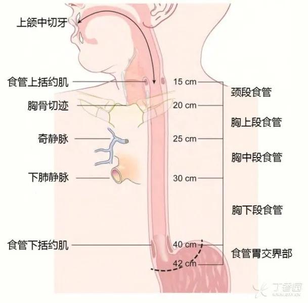 聚氨酯 第7頁(yè)