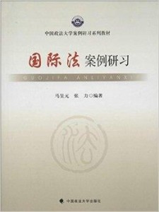 國際法最新案例研究，探索前沿實踐中的法律挑戰(zhàn)