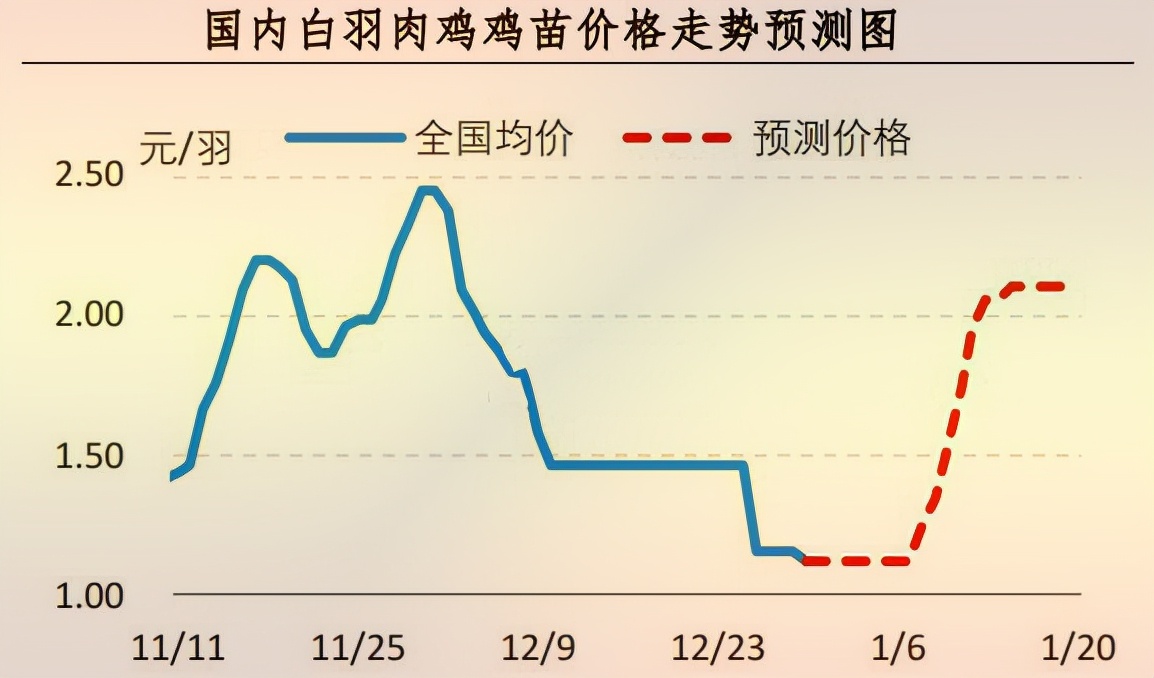 肉雞苗最新價(jià)格及市場(chǎng)分析概覽