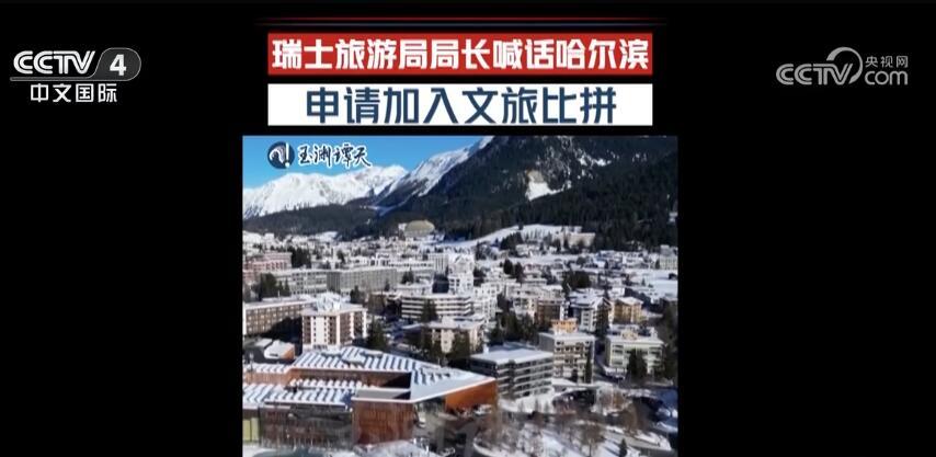 五大連池市殯葬事業(yè)單位發(fā)展規(guī)劃展望，最新規(guī)劃與展望解析